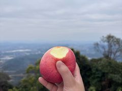 -黄埔油麻山森林公园