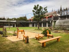 -前小桔亲子创意农场·草莓采摘·露营烧烤