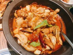 黑松露牛肝菌焖牛蛙-云海肴·汽锅鸡·云南菜(美罗城店)