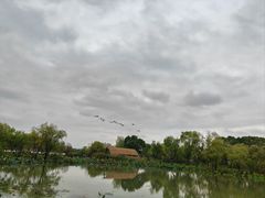-长兴太湖图影湿地文化园