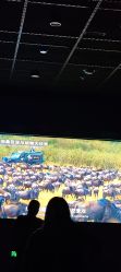 -飞览天下沉浸式飞行体验(北京旗舰店)