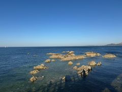 -养马岛旅游度假区