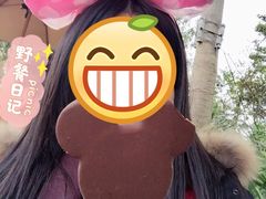 -迪士尼火鸡腿