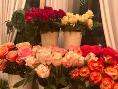 -龟兹KUCINA·新疆菜(前滩L+PLAZA店)