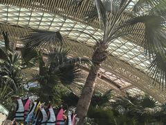 -杭州开元森泊度假乐园