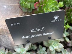 -深圳市中科院仙湖植物园