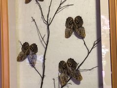 -陕西自然博物馆