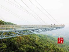-呀诺达热带雨林