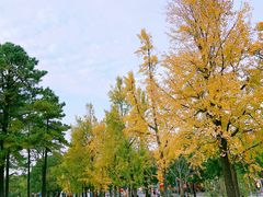 -美兰湖景区