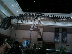 -郑州方特梦幻王国