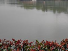 -东湖落雁景区