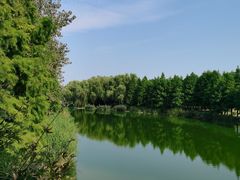 -滨湖塘西河公园