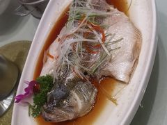 -刘胖子家常菜·蹄花焖藕(兴业店)