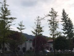 -大围山国家森林公园