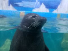 -多彩贵州城极地海洋世界