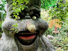 -呀路古热带植物园
