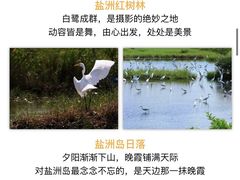 -盐洲岛