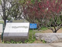 -南长河公园