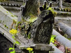 -石台牯牛降景区