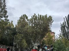 -兰溪青年公园