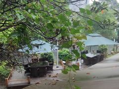 -树厨贵州菜(铜仁花果山店)