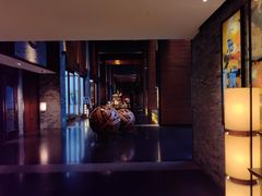 -三亚太阳湾柏悦酒店