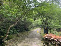 -黄公望隐居地
