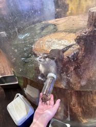 -Zoolung Zoolung动物主题公园(海信广场店)