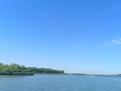-丁香湖公园