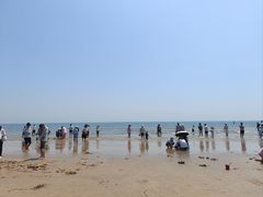 -日照海滨国家森林公园