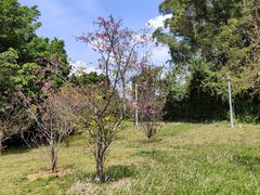 -中国移动南方基地