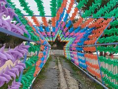 -长洲岛都市农业公园