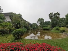 -福建鲤鱼洲酒店