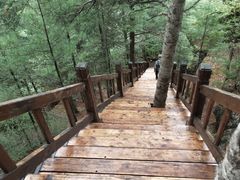 -汤旺河林海奇石景区