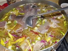 -滇铺子·云南特色菜·第九届野生菌美食节(东风东路c86店)