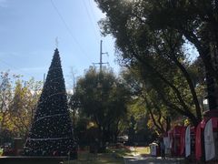 -上海德威外籍人员子女学校(浦东校区)