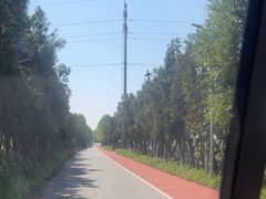 -上海长兴岛郊野公园