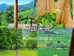 -英西峰林·洞天仙境