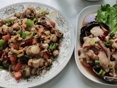 葱爆威海扇贝-威海渔村(静安旗舰店)