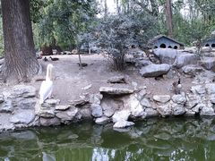 -北京动物园
