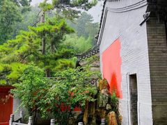 -玉兰茶楼