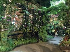 -绿光森林餐厅