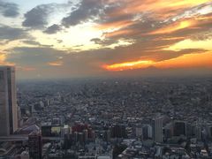 -东京都厅舍