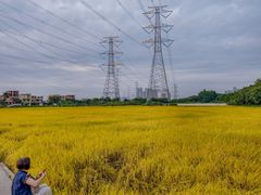 -低涌(地铁站)
