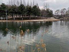 -大兴滨河森林公园