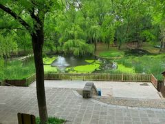 -石家庄市动物园