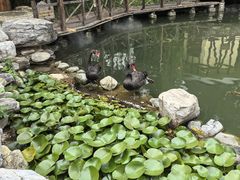 -天毓山庄·餐厅