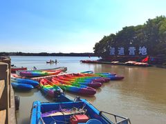 -上海海湾国家森林公园