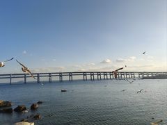 -黑石礁公园