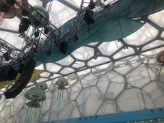 -水立方嬉水乐园